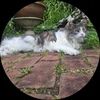pamelalow1020